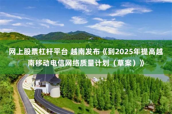 网上股票杠杆平台 越南发布《到2025年提高越南移动电信网络质量计划（草案）》