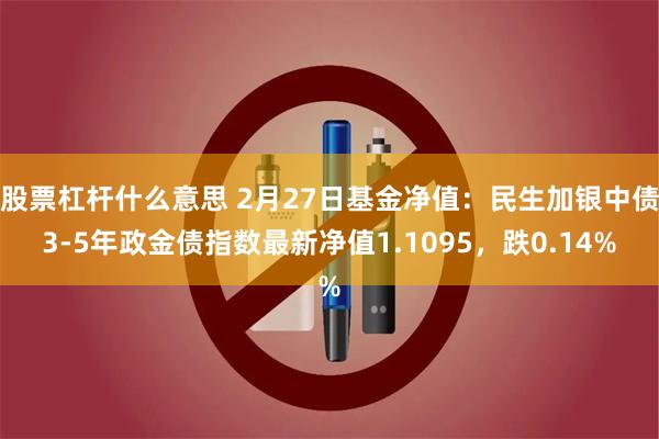 股票杠杆什么意思 2月27日基金净值：民生加银中债3-5年政金债指数最新净值1.1095，跌0.14%